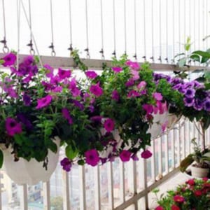 Lưới Ban Công 01