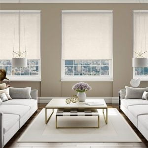 Rèm cuốn văn phòng Hòa Phát